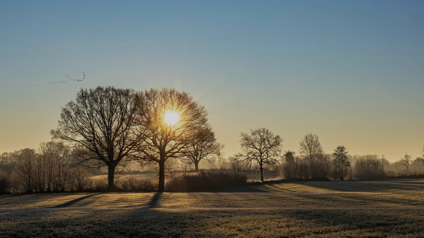 What Does “Be Still and Know” Really Mean? (And How to Live It Daily)
