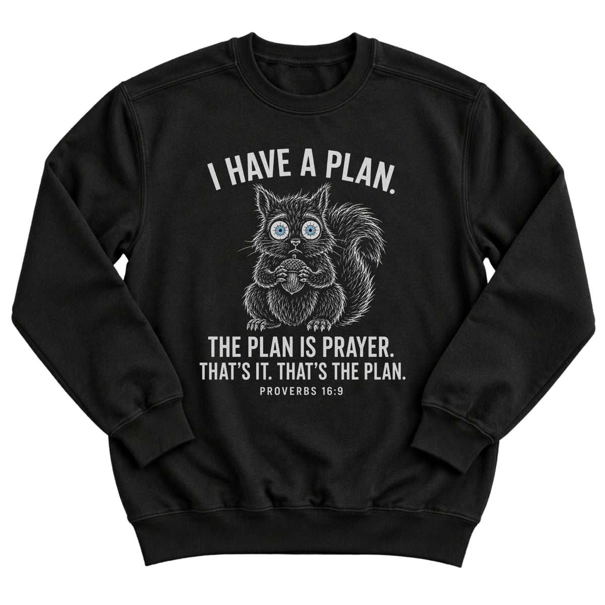 Black crewneck sweatshirt with a wide-eyed squirrel illustration and the words I Have A Plan. The Plan Is Prayer. That's It. That's The Plan. Proverbs 16:9