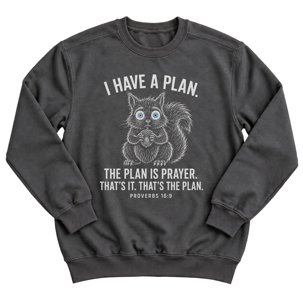 Charcoal crewneck sweatshirt with a wide-eyed squirrel illustration and the words I Have A Plan. The Plan Is Prayer. That's It. That's The Plan. Proverbs 16:9