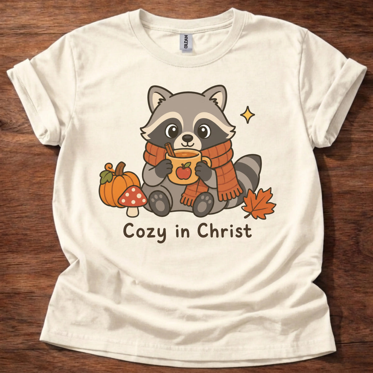 Cozy In Christ T-Shirt