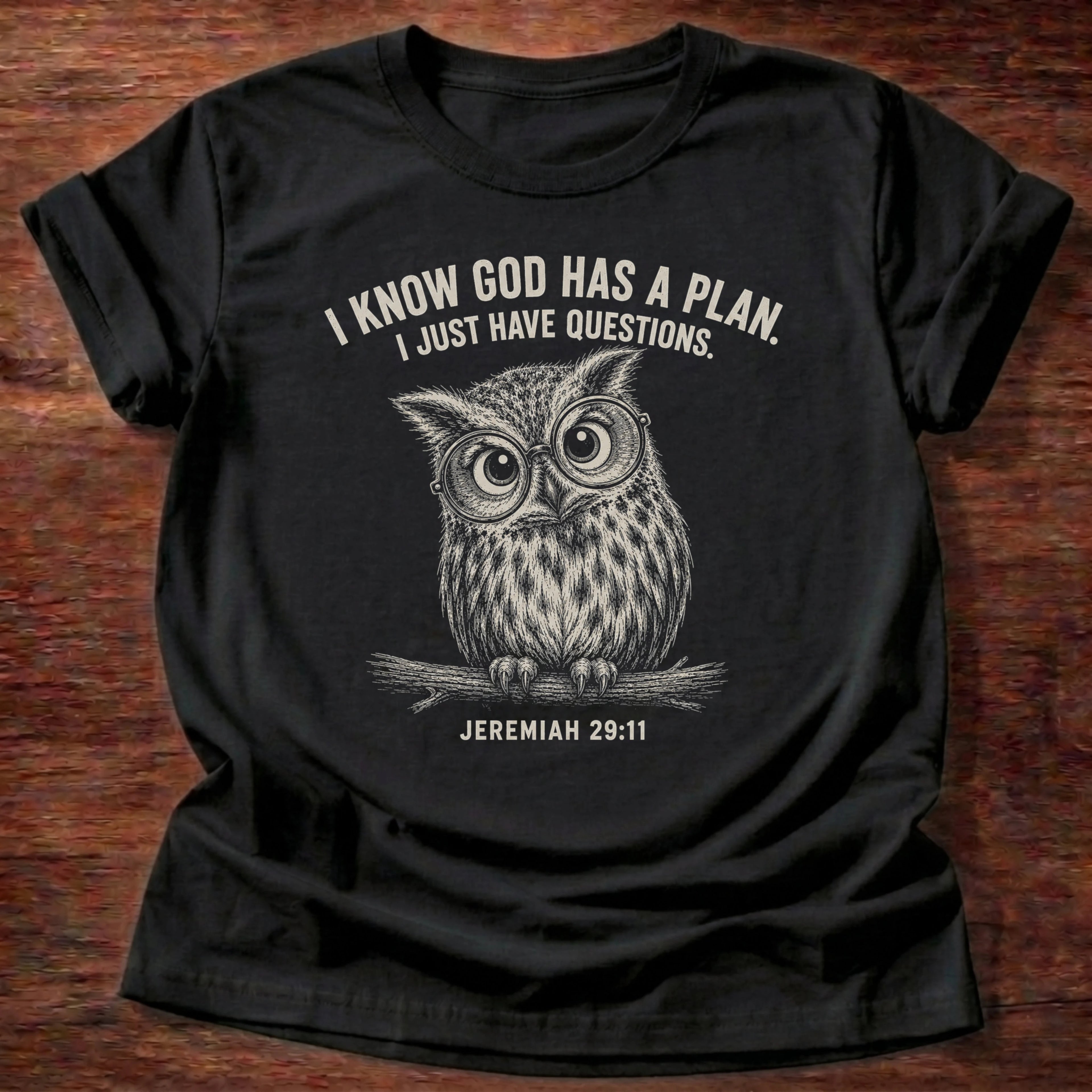 Black t-shirt printed with owl graphic and 'I know God has a plan, I just have questions,' a Jeremiah 29:11 faith based gift