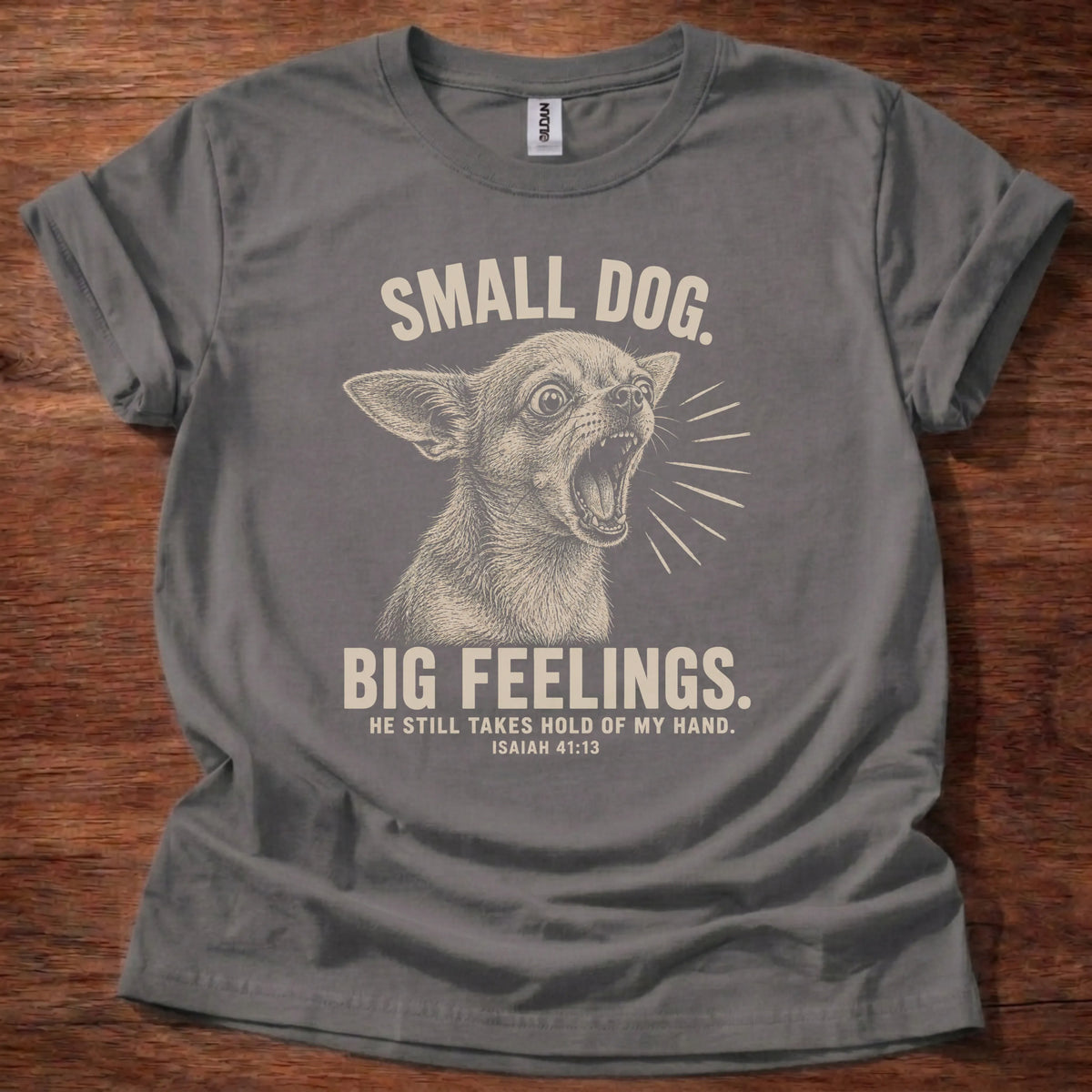 Big Feelings Christian t-shirt in charcoal