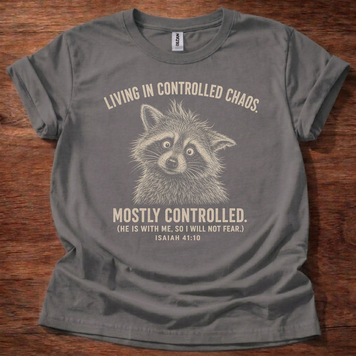 Controlled Chaos Christian t-shirt in charcoal