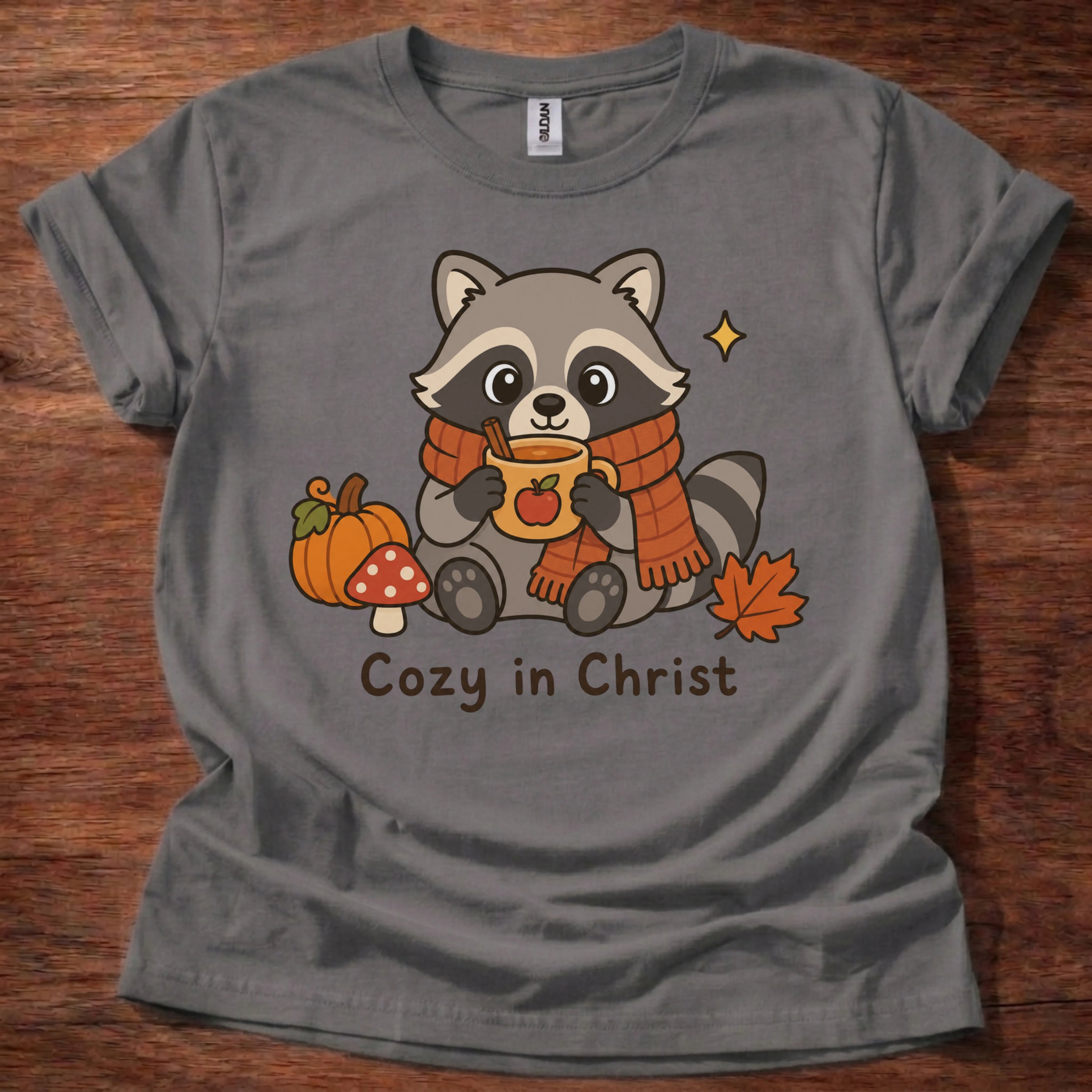 Cozy In Christ T-Shirt