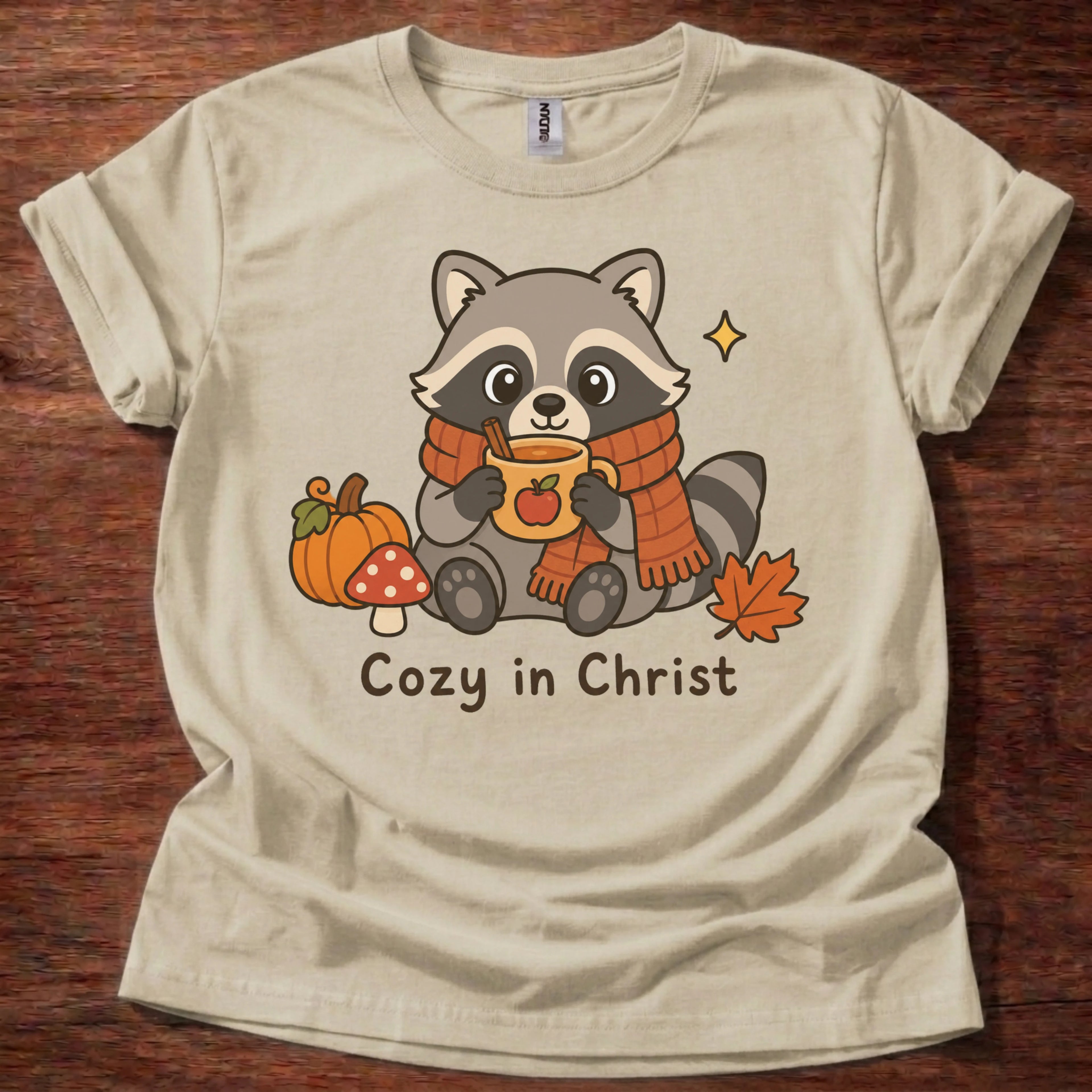 Cozy In Christ T-Shirt