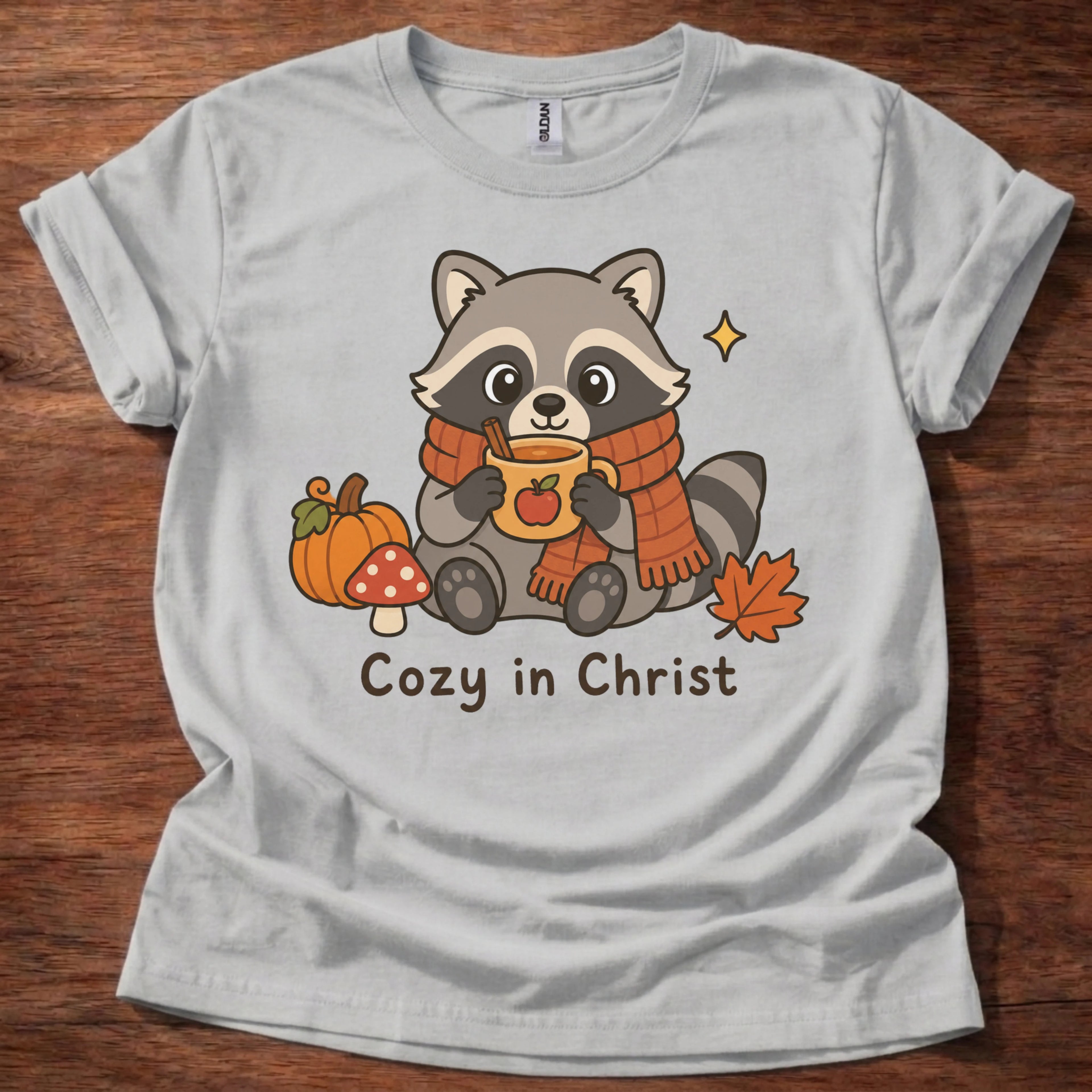 Cozy In Christ T-Shirt