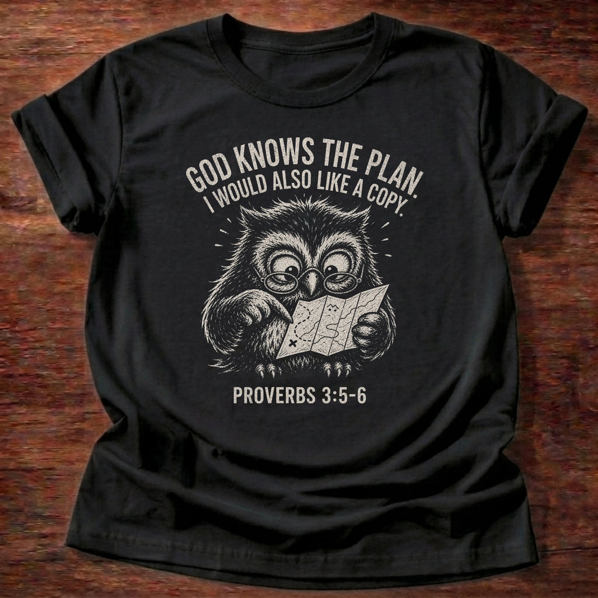 Black t-shirt featuring an owl and 'God knows the plan. I would also love a copy.' Proverbs 3:5-6 relatable tee