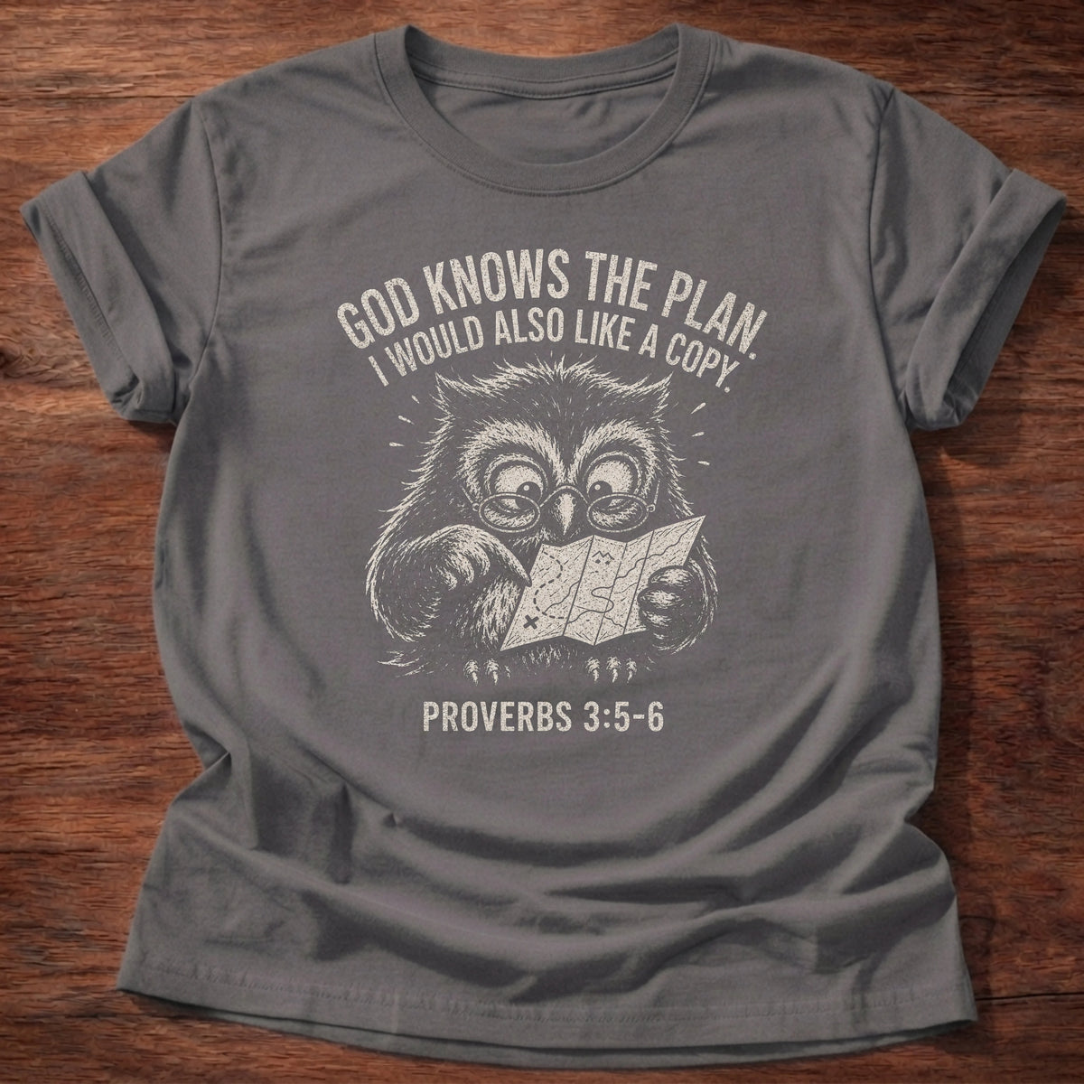 Charcoal t-shirt printed with owl graphic and 'God knows the plan. I would also love a copy,' a funny faith based gift