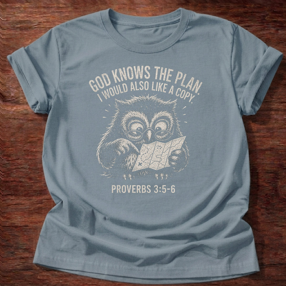Stone blue t-shirt printed with 'God knows the plan. I would also love a copy.' owl graphic, faith based tee